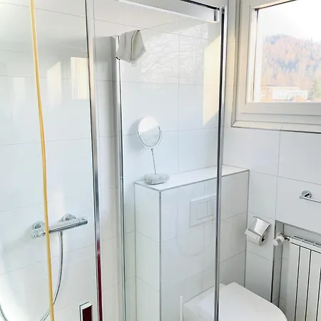Apartment Views Over Constance Within 5 Min From *